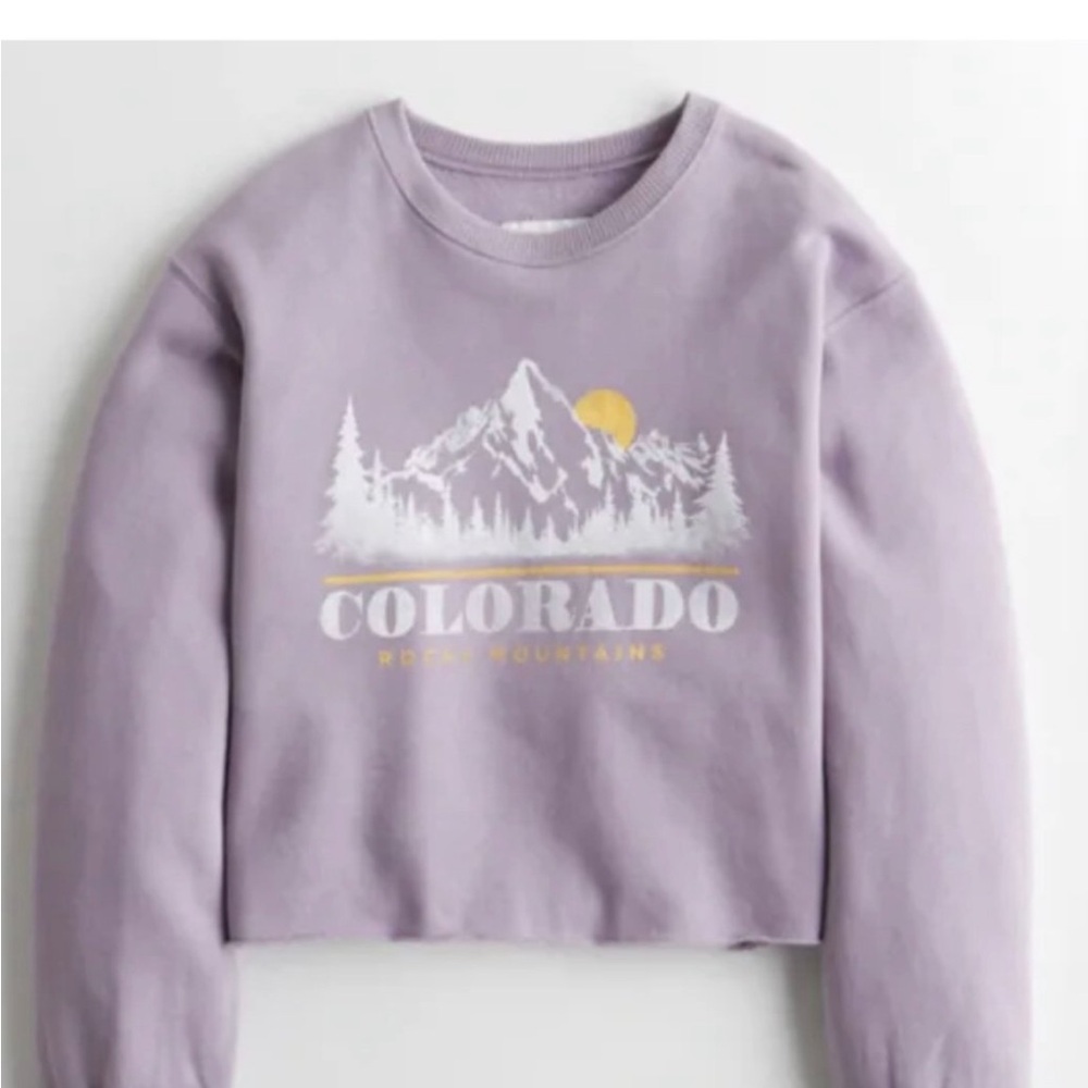 Hollister purple sweatshirt